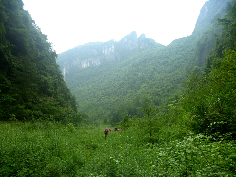 p1150811_.jpg