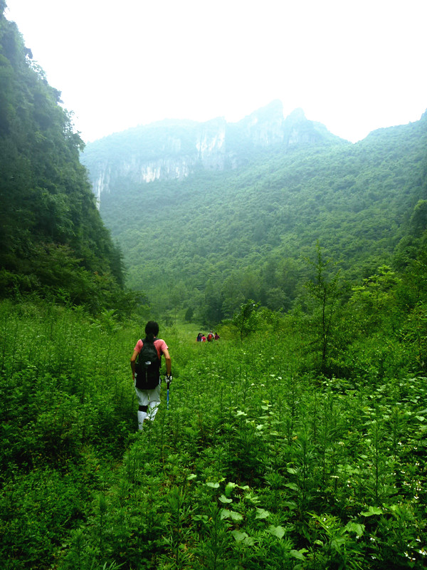 p1150812_.jpg