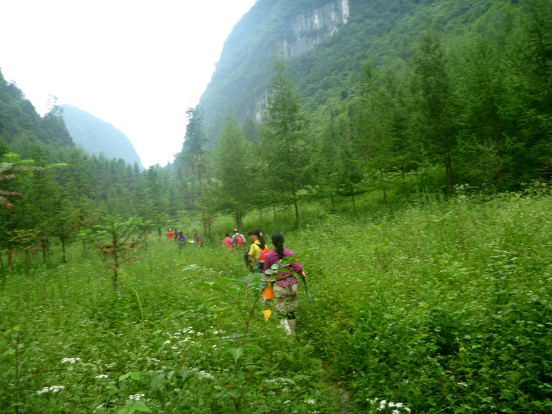 p1150815_.jpg