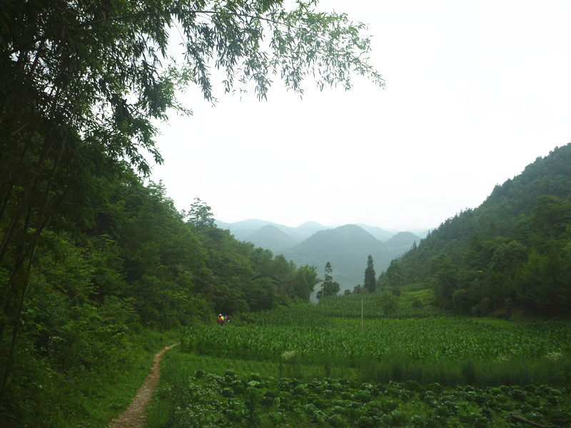 p1150777_.jpg