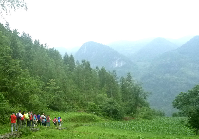 p1150778_.jpg