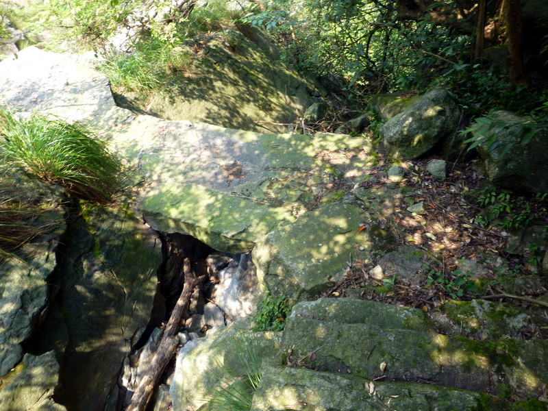 p1090377.jpg