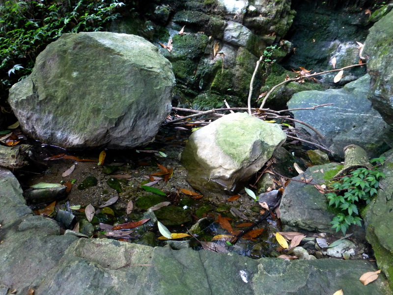 p1090380.jpg