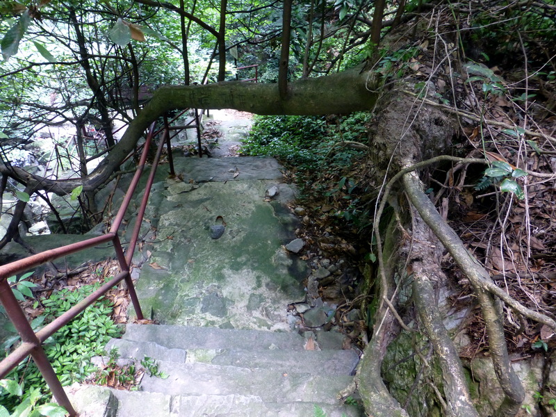 p1090391.jpg