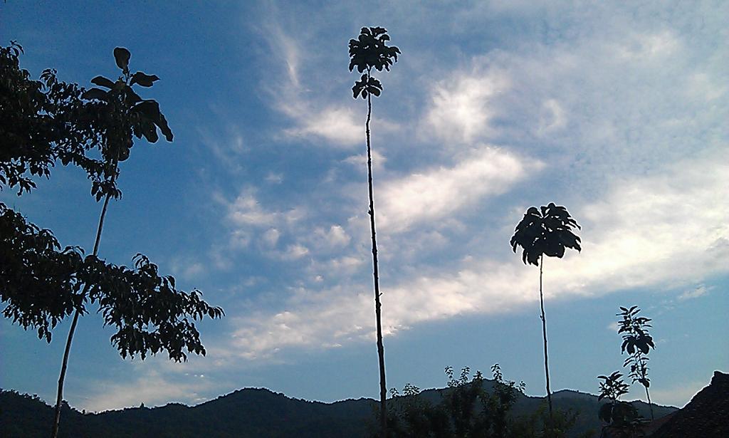 imag1607.jpg