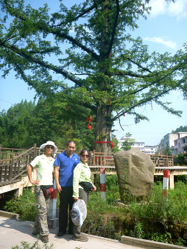 p1150742_.jpg