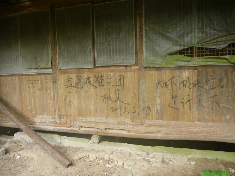 p1150843_.jpg
