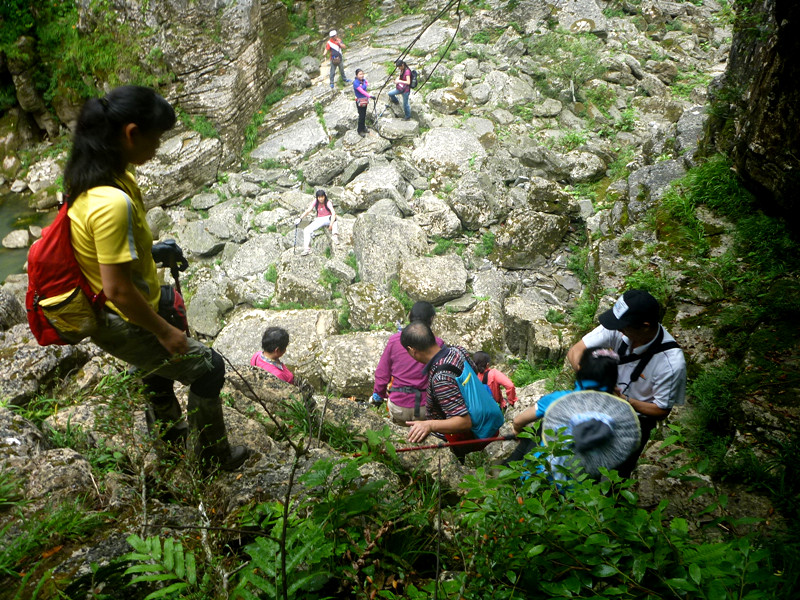 p1150845_.jpg