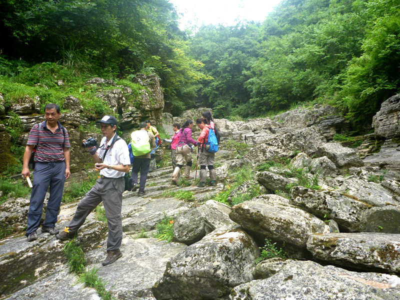 p1150852_.jpg