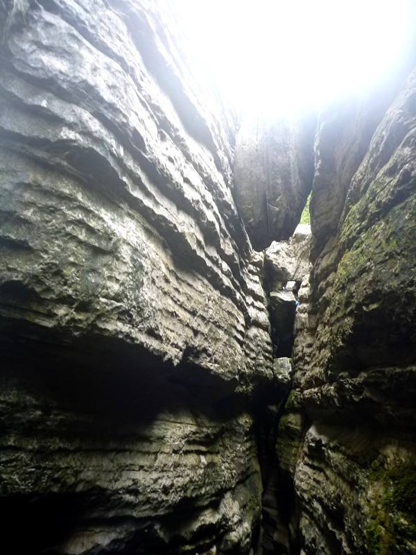 p1150867_.jpg