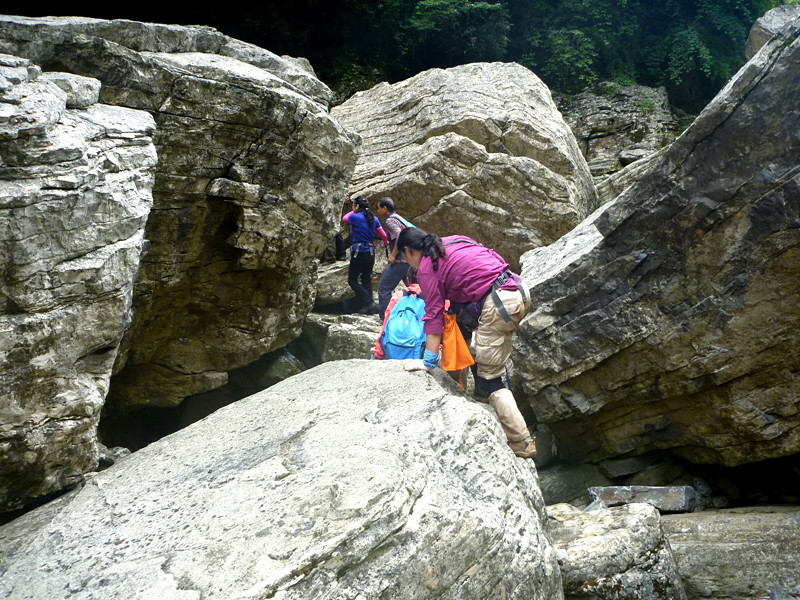 p1150882_.jpg
