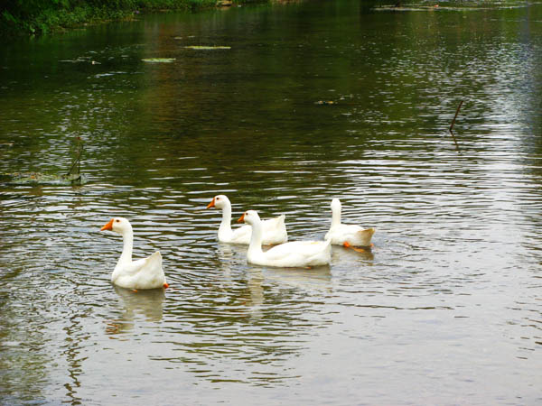 img_0272.jpg