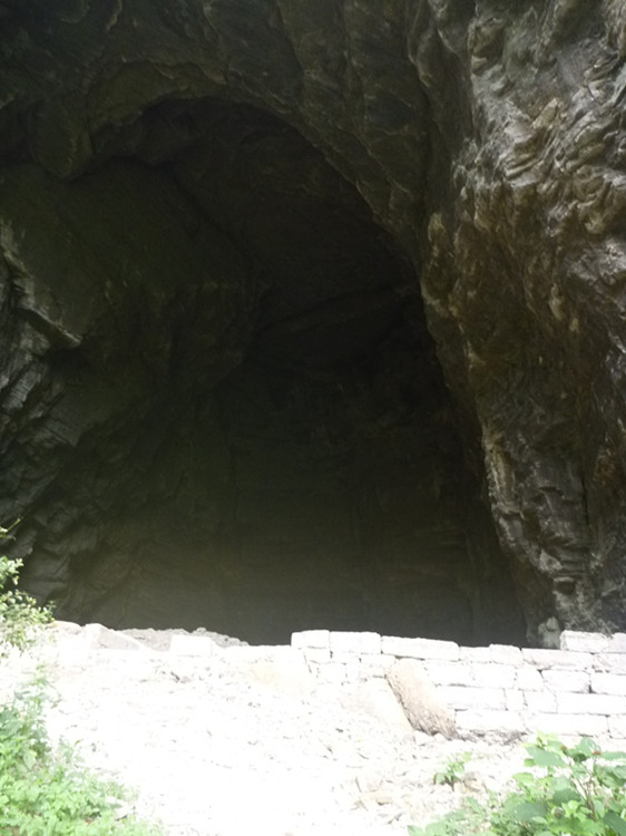 p1150908_.jpg
