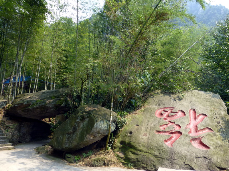 p1090417.jpg
