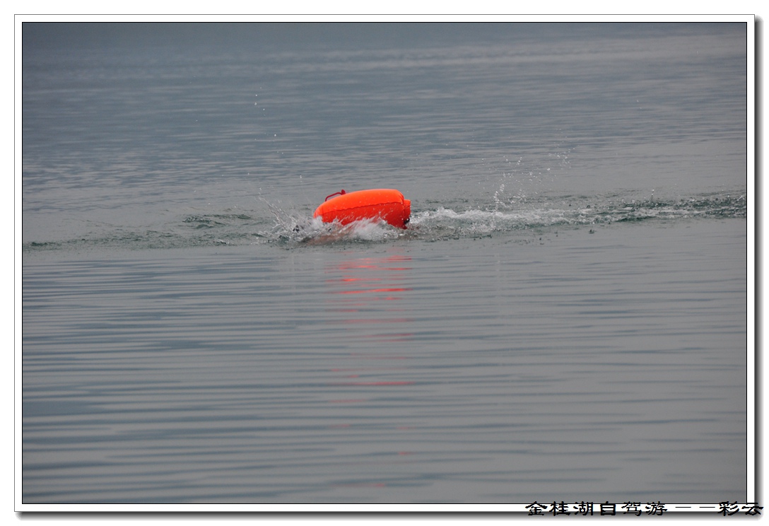 dsc_8421.jpg