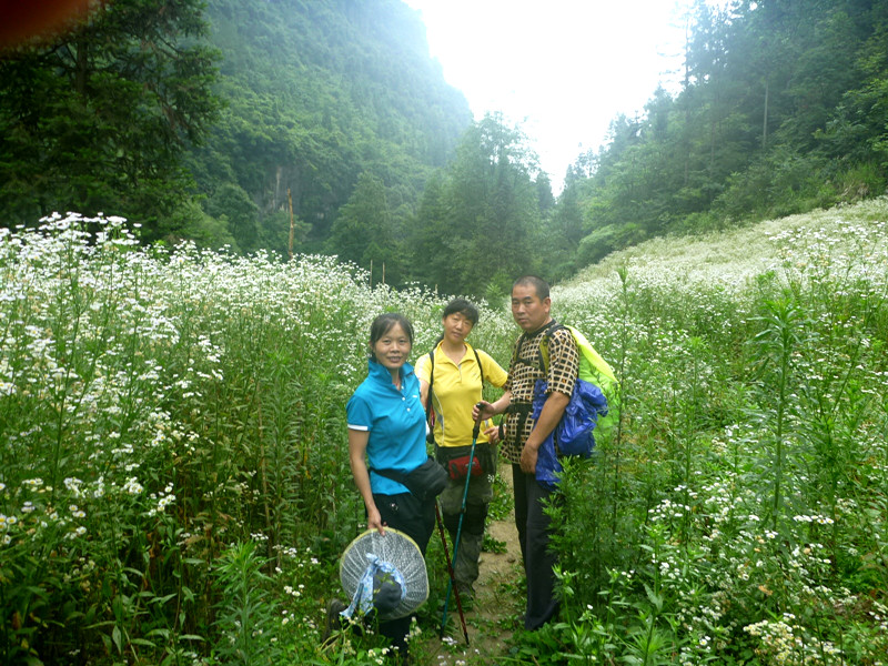 p1150827_.jpg