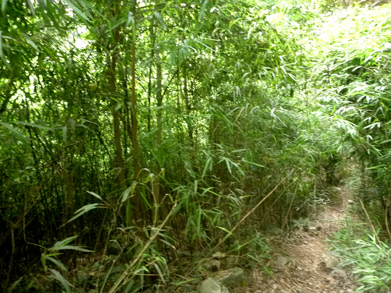 p1150933_.jpg