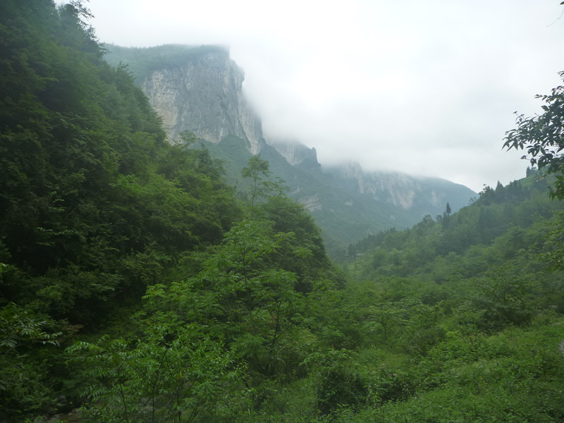p1150979_.jpg