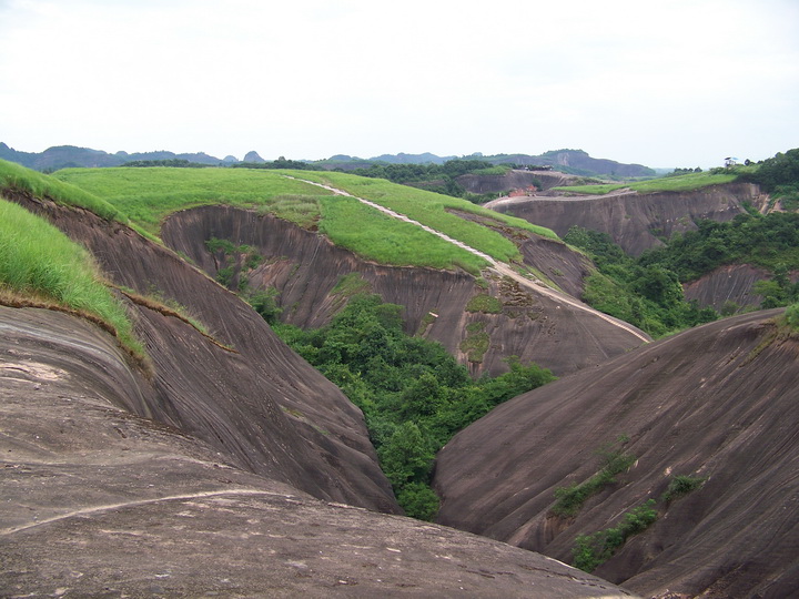 100_9868.jpg