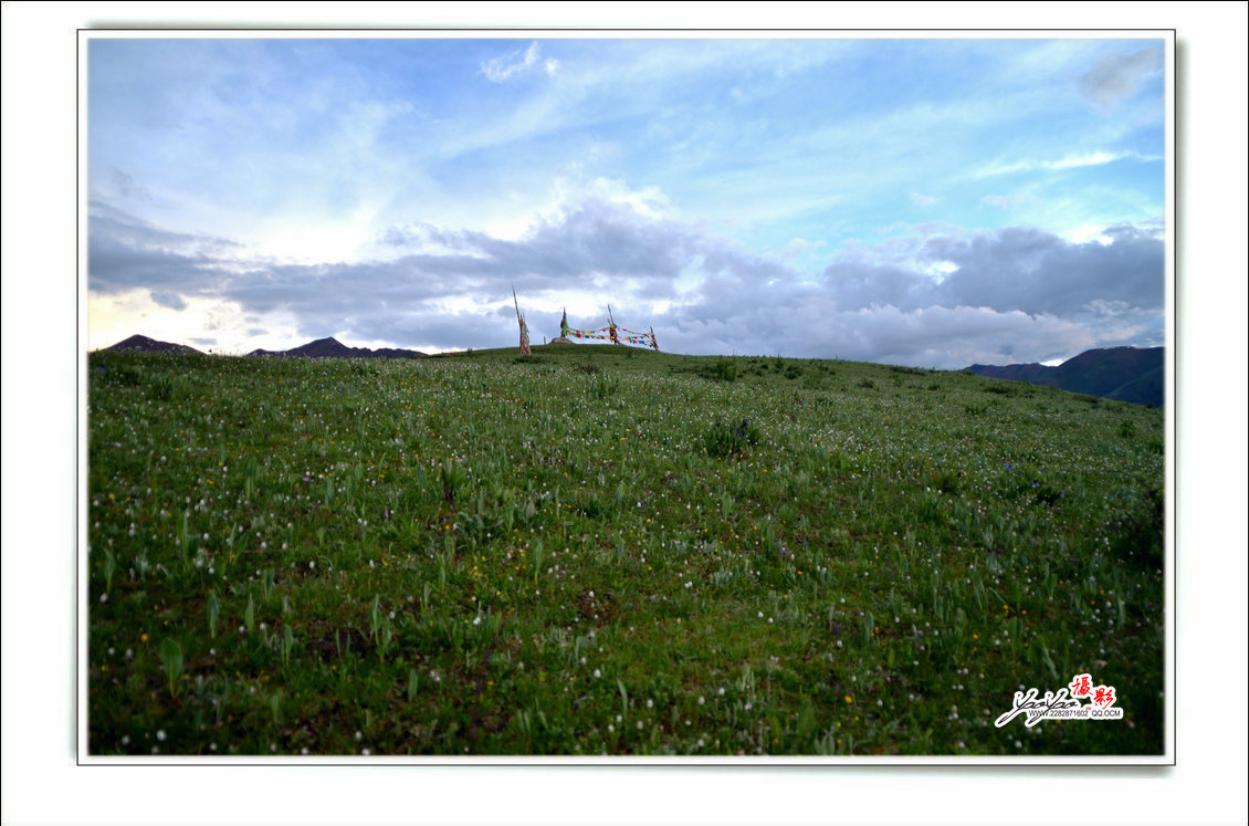 dsc_5469.jpg