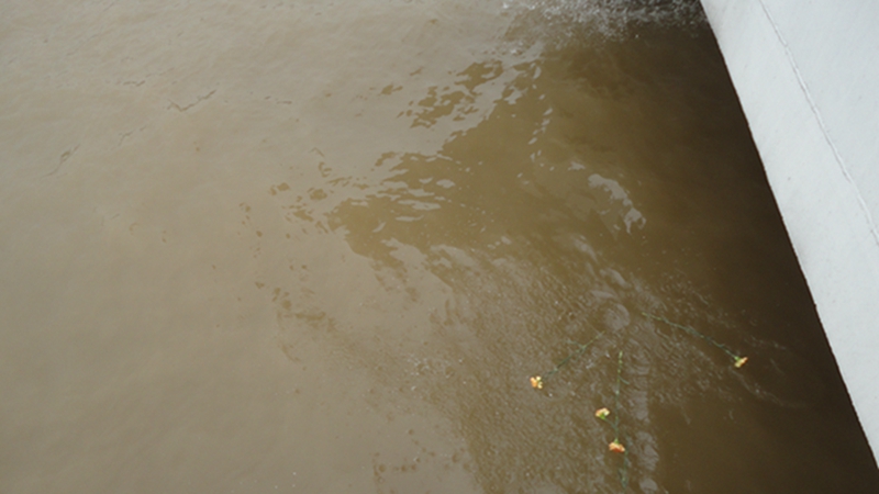 dsc05217.jpg