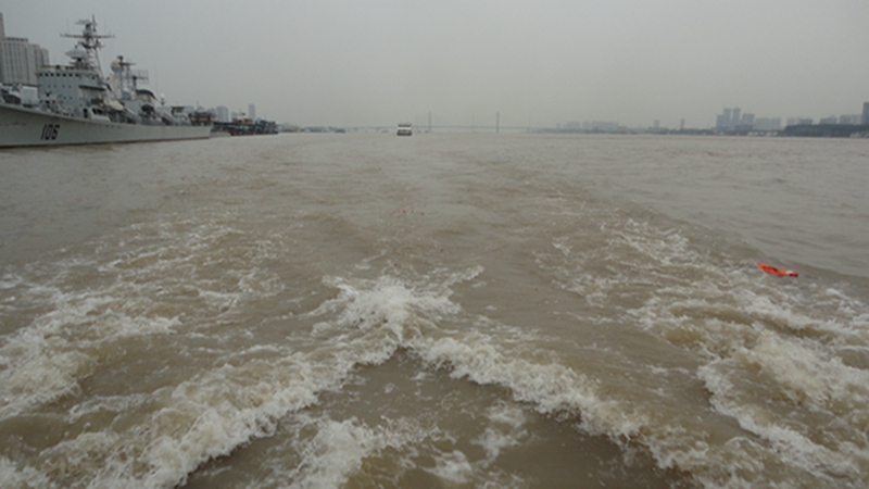 dsc05223.jpg