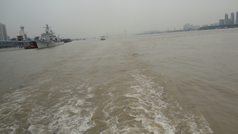dsc05225.jpg