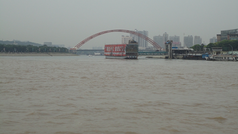 dsc05241.jpg