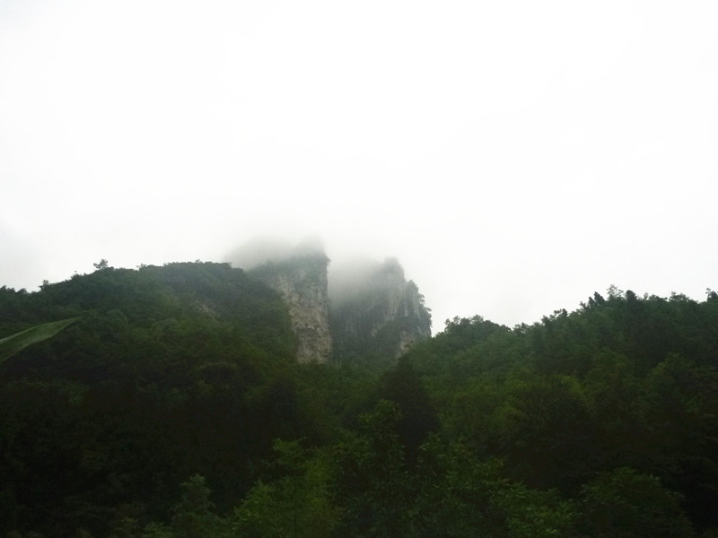p1160048_.jpg