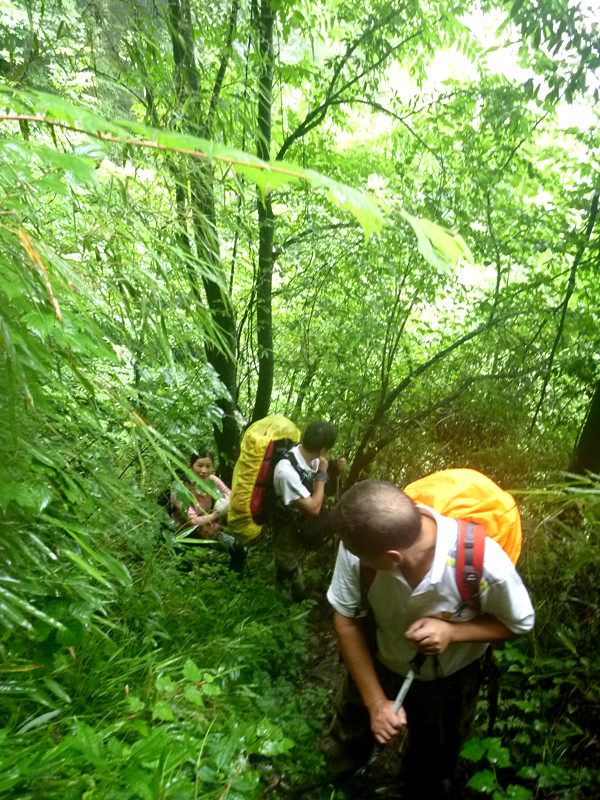 p1160059_.jpg
