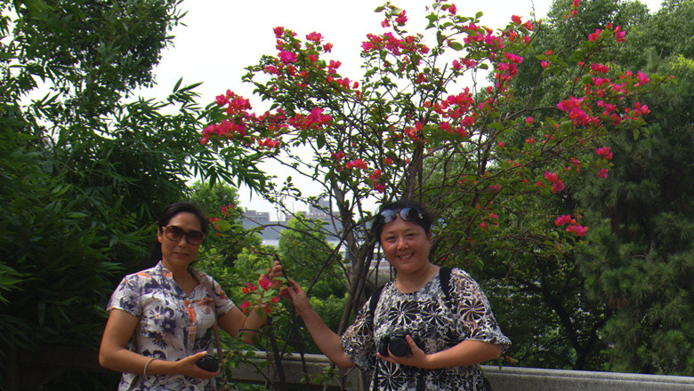 p1060421_.jpg