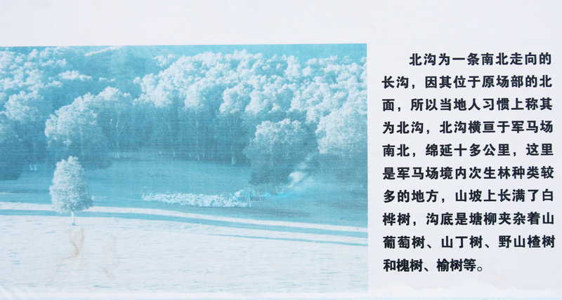 imgp5573a.jpg