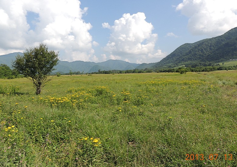 qqͼƬ20130719104554.jpg