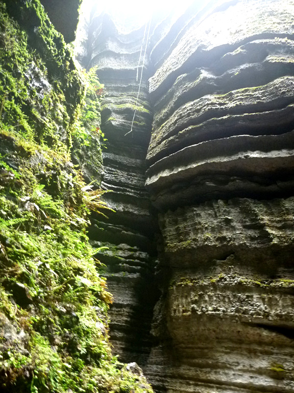 p1160107_.jpg