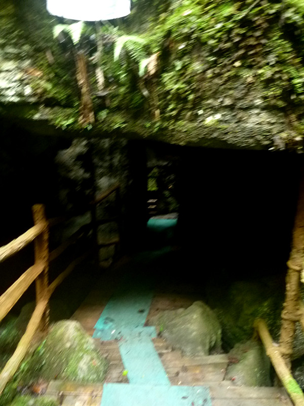 p1160113_.jpg