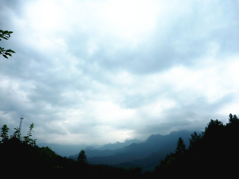 p1160114_.jpg