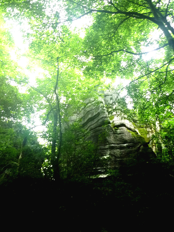 p1160121_.jpg