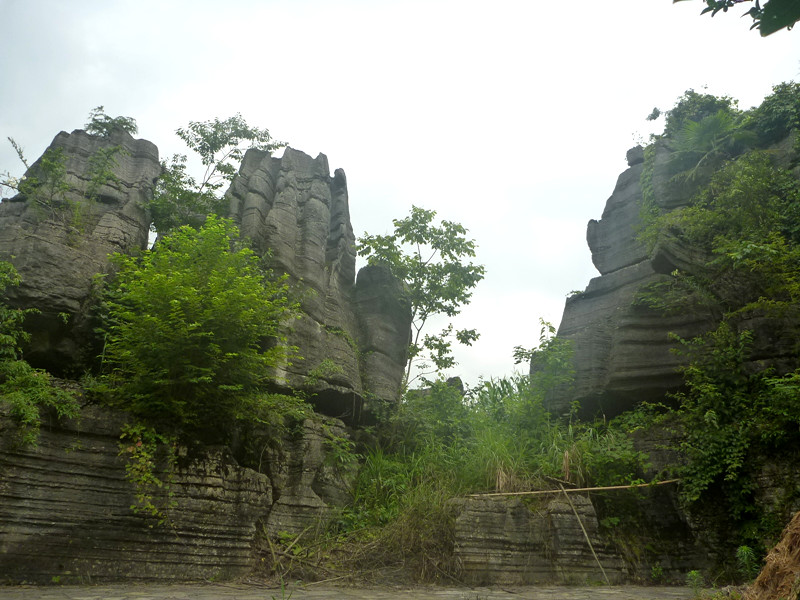 p1160122_.jpg