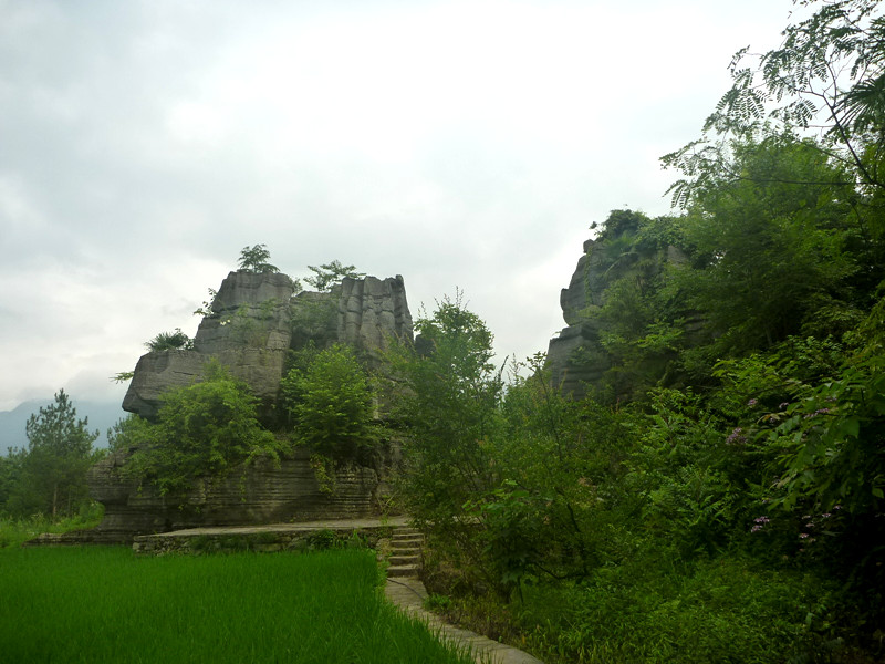 p1160123_.jpg