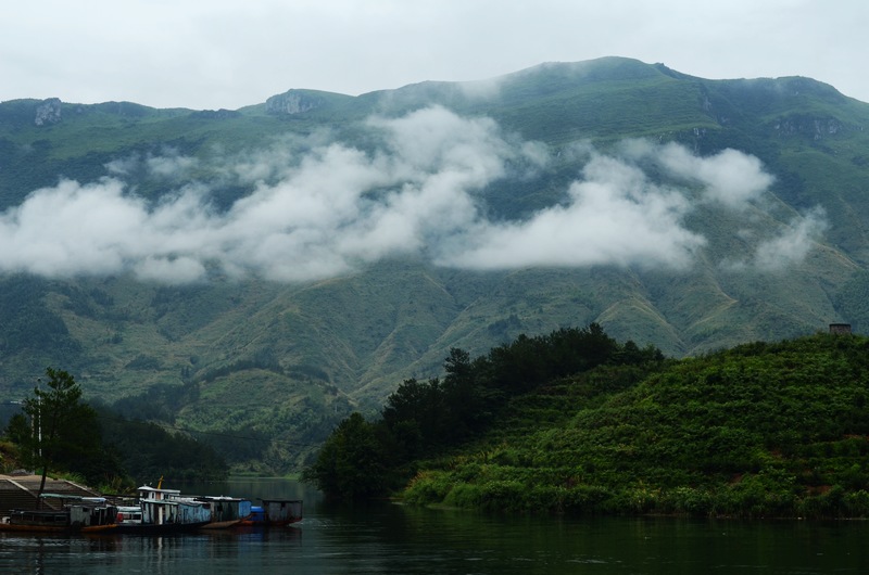 dsc_6533.jpg
