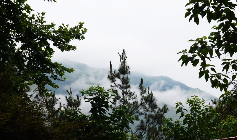 dsc_6567.jpg