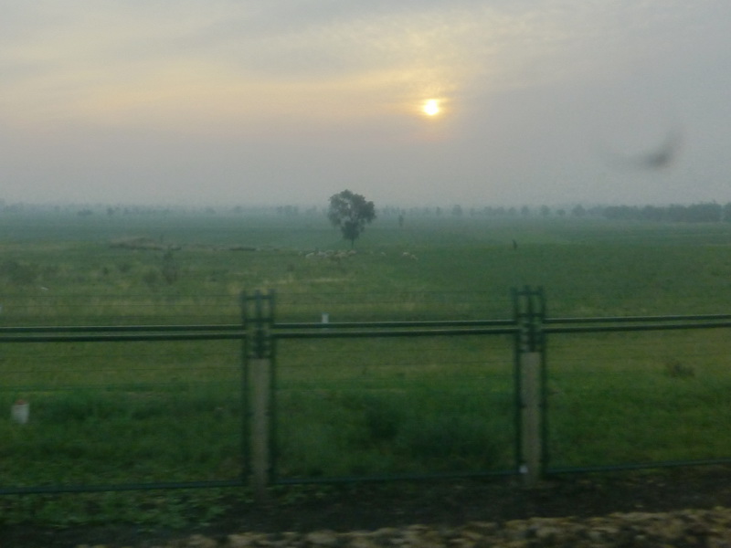 p1080590.jpg