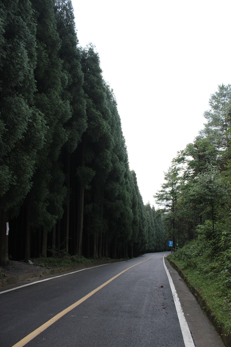 ǧҰݳ 127_.jpg