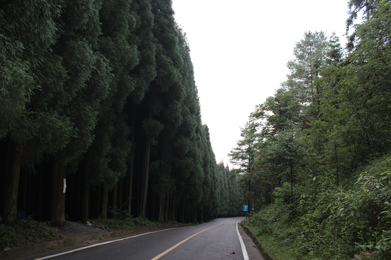 ǧҰݳ 128_.jpg