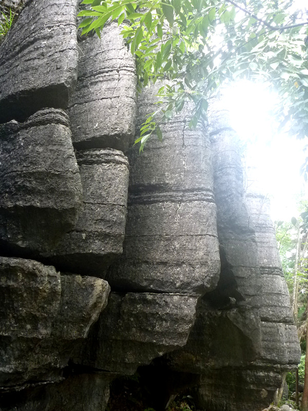 p1160161_.jpg