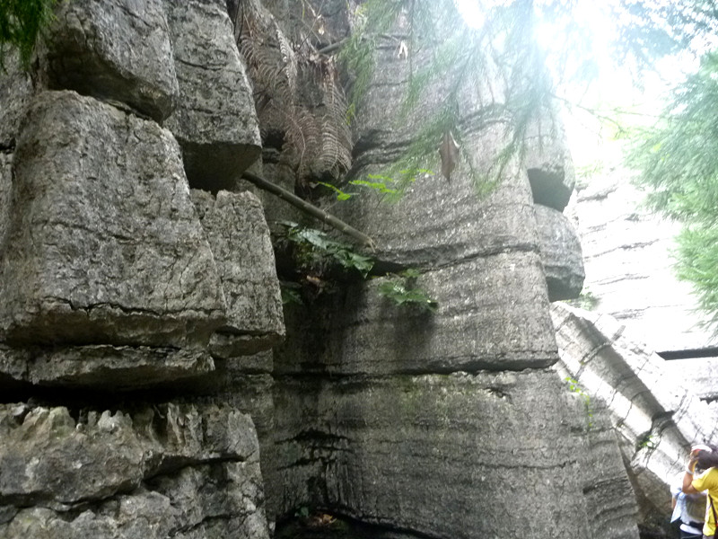p1160162_.jpg