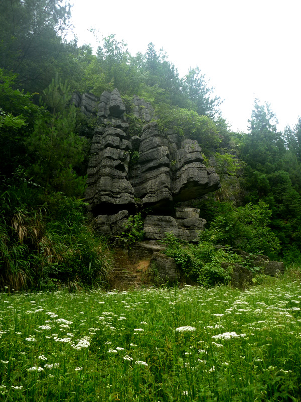 p1160170_.jpg