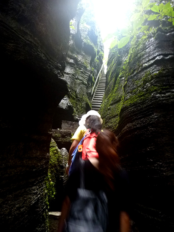 p1160174_.jpg