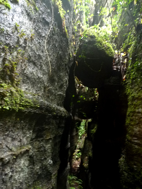 p1160175_.jpg