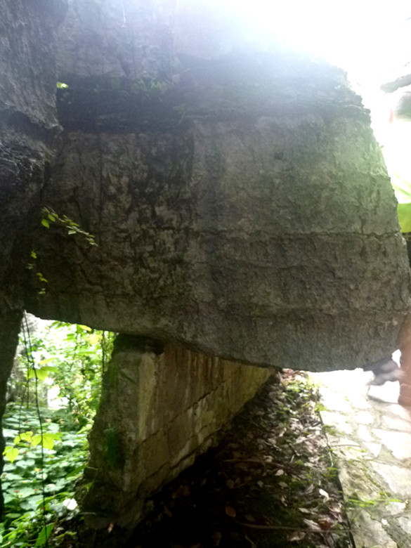 p1160176_.jpg